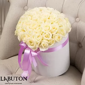 Розы в коробке 51шт
